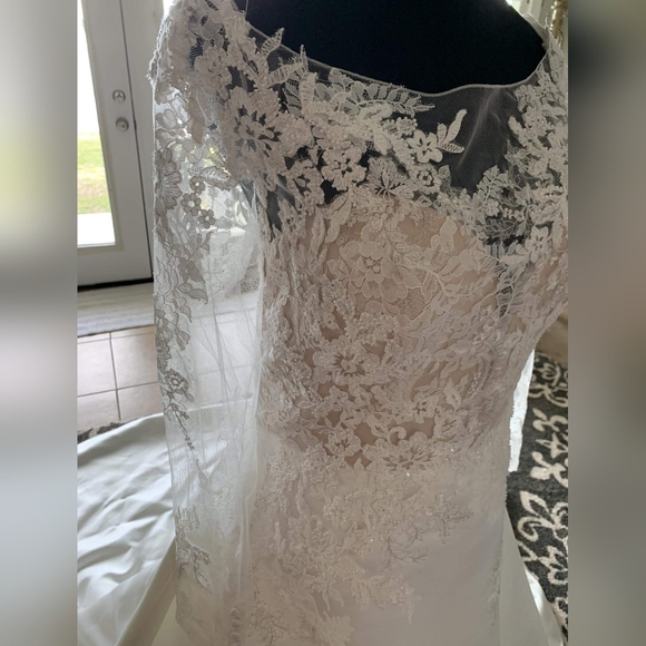 Pronovias 'Dresaba' Wedding Gown - Picture 8 of 10